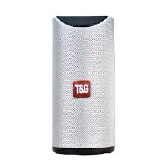 SPEAKER PORTABLE TG-113A AUX/USB/MEMORY CARD GREY